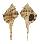 MURICIDAE MUREX DENTIFER shell