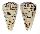 CONIDAE CONUS LEOPARDUS shell