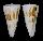 CONIDAE CONUS TRIBBLEI shell