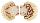 PECTINIDAE ANNACHLAMYS STRIATULA shell