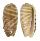 OLIVIDAE OLIVA RUFULA shell