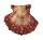 PECTINIDAE PECTEN MIRIFICUS TUBEROSUS shell