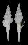 FASCIOLARIIDAE FUSINUS FORCEPS shell