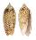 OLIVIDAE OLIVA OLIVA SAMARENSIS shell