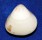 VENERIDAE TIVELA MACTROIDES shell