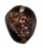 CYPRAEIDAE CYPRAEA CAPUTSERPENTIS shell